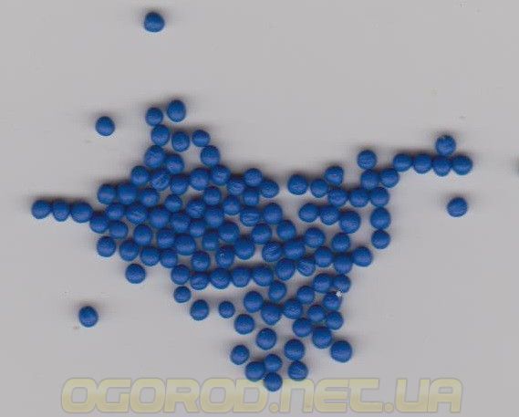Эндуро F1 семена пекинской капусты Takii Europe B.V. Голландия 2500 шт 1002993056-2500 фото