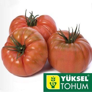 Ред Кой F1 семена томата Yuksel Турция 100 шт 2472783693 фото