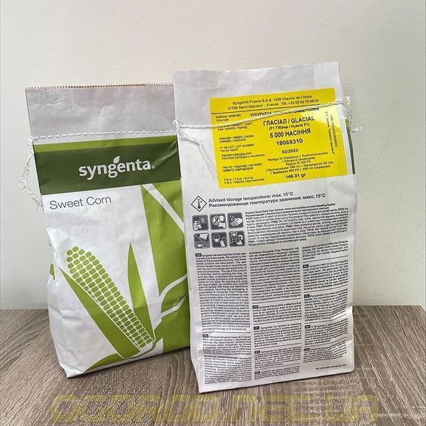 Гласіал F1 біла кукурудза суперсолодка Syngenta Голландія 20 шт 1882347759 фото