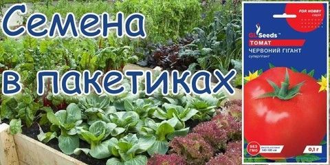 Семена в пакетиках