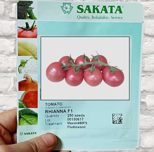 Купить Рианна F1 5 шт розовый черри Sakata Япония 2384711918 в