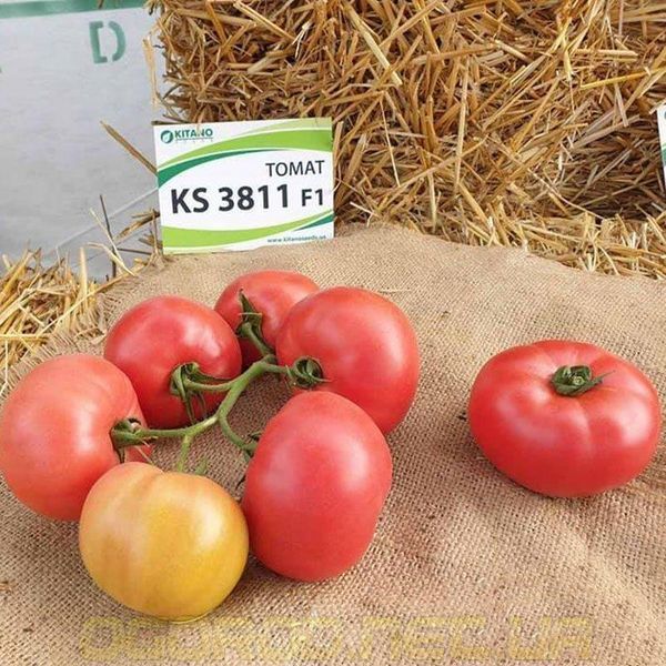 KS 3811 F1 семена розового томата Kitano 100 шт 1497787503 фото
