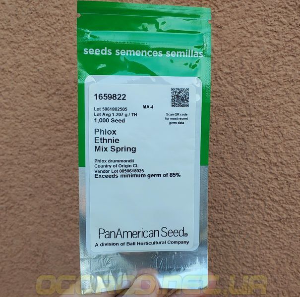 Флокс Ethnie Mix Spring 10 шт насіння PanAmerican Seed, США 5061802505 фото