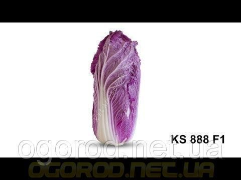 Ямада(KS 888 F1) семена краснокочанной пекинской капусты Kitano 1000 шт 923225910 фото