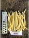 Голден Гол насіння квасолі спаржевої Pop Vriend Seeds США 5000 шт 5000_1681184385 фото 2