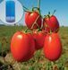 Рекордсмен F1 семена томата Libra Seeds, США 1000 шт rekord-ls-1000 фото 1