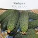 Кибрия семена огурца Rijk Zwaan Голландия 1000 шт 1002280168 фото 1
