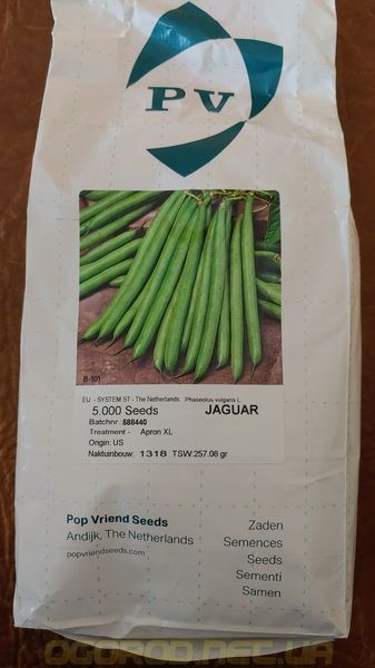 Ягуар насіння квасолі спаржевої Pop Vriend Seeds США 5000 шт 5000_1681187928 фото
