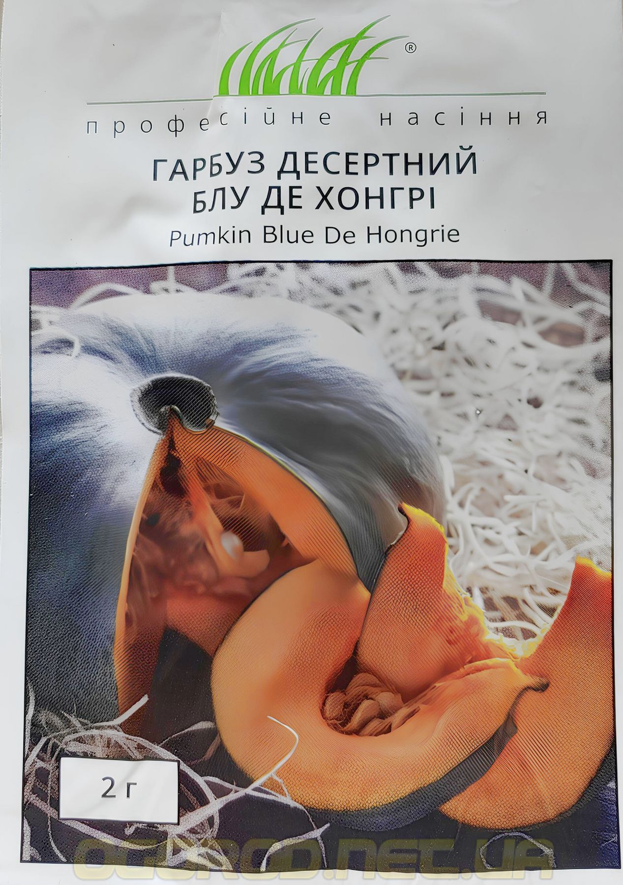 Купить Блу де Хонгри 2 г семена тыквы от W. Legutko, Польша