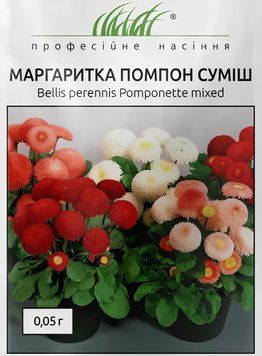 Маргаритка Помпон 0,05 г семена Hem Zaden, Голландия marg001 фото