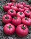 Сим-Сим F1 семена томата Libra Seeds, Италия 250 шт sim-ls-250 фото 2