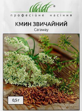 Тмин обыкновенный 0,5 г семена от Hem Zaden, Голландия kmyn01 фото