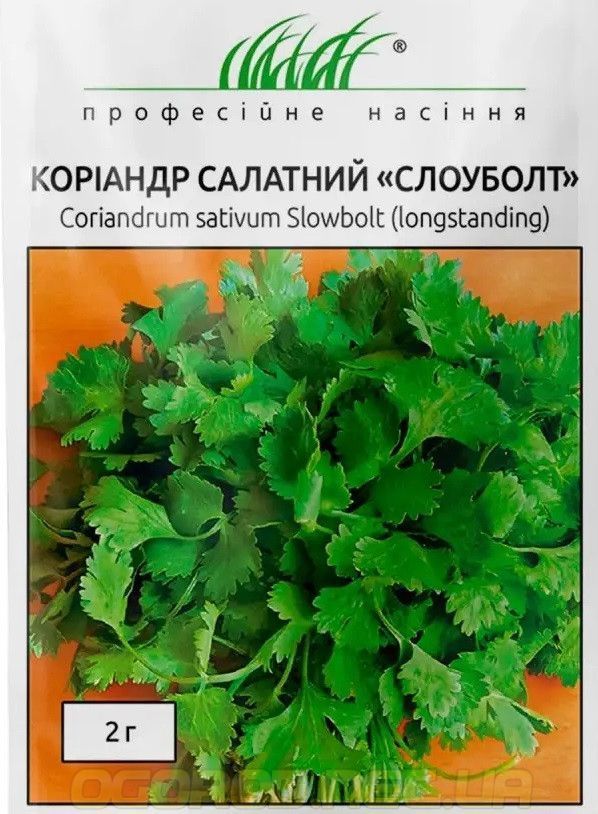 和ダンス Купити Коріандр(Кінза) Слоуболт Hem Zaden, Голландія 2 грами