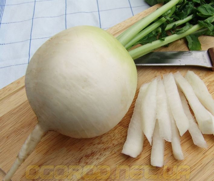 Дайкон Акорд 2 г насіння Moravo Seeds, Чехія daikon001 фото Дайкон Акорд 2 г насіння Moravo Seeds, Чехія daikon001 фото