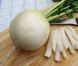 Дайкон Акорд 2 г насіння Moravo Seeds, Чехія daikon001 фото 2