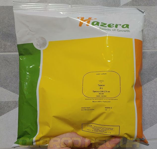 Тареско F1 насіння цибулі для зберігання Hazera Ізраїль 1000 шт tar002 фото