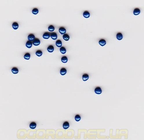 Монако F1 насіння капусти броколі Syngenta Голландія 2500 шт. 1003022378 фото