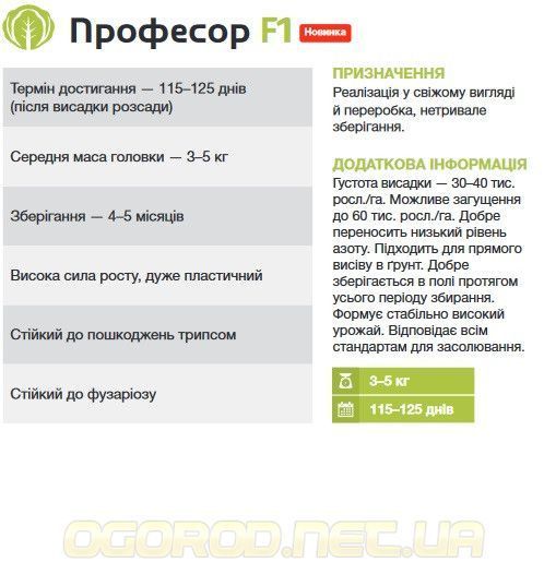 Професор F1 2500 шт. насіння капусти Syngenta Голландія 1104343028 фото