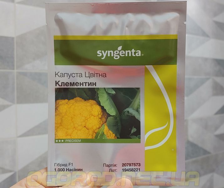 Клементин F1 семена цветной капусты Syngenta, Голландия 1000 шт klement-kap-1000 фото