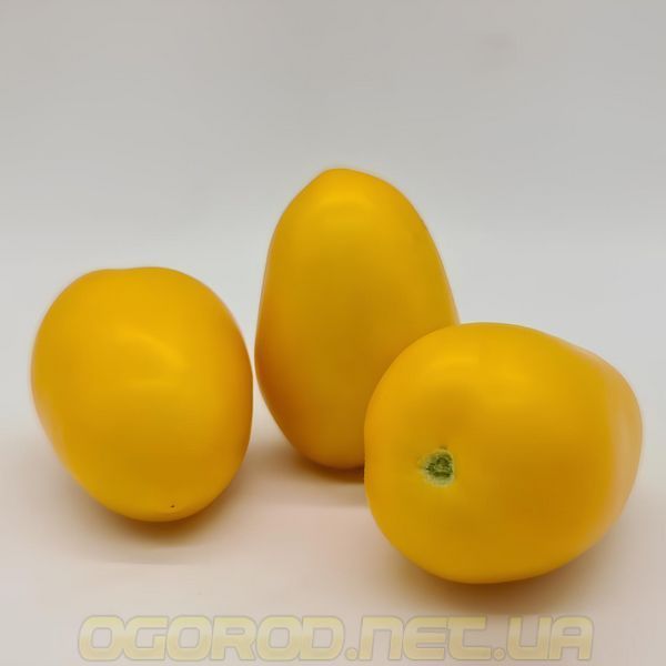 KS 221 F1 насіння томата Kitano Seeds, Голландія 100 шт ks221-100 фото