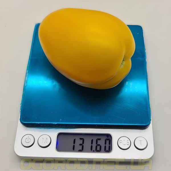 KS 221 F1 насіння томата Kitano Seeds, Голландія 100 шт ks221-100 фото