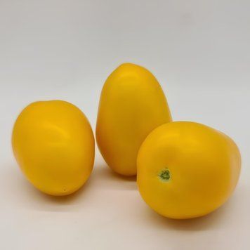 KS 221 F1 семена томата Kitano Seeds, Голландия 500 шт ks221-500 фото