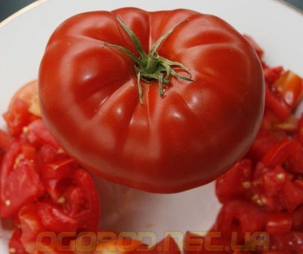 Біг Біф F1 насіння томата Seminis Голландія 250 шт. 1264062623 фото