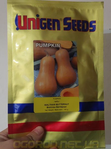 Волтгем Баттернат насіння гарбуза UniGen Seeds Італія 100 грамів 1667377273_100g фото