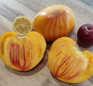 Барселона F1 семена томата Breeding Seeds, Испания 250 шт 0989966654438 фото