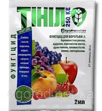 Тинил 2 мл 1872007860 фото