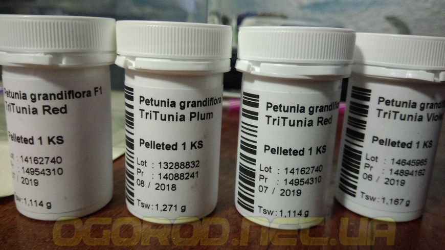 Насіння петунія TriTunia 1000 шт грандифлора Syngenta Mix 1055496126 фото