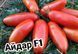 Айдар F1 семена сливки перцевидной Clause Франция 1000 шт 1699839376 фото 6