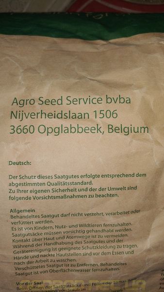 Бостон горох StormSeeds Бельгія 20 шт 2079291791 фото