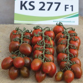 КС 277 (KS 277 F1) семена томата Kitano Голландия 500 шт 1418017278 фото