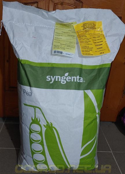 Преладо семена гороха Syngenta Голландия 100 грамм(~500 шт) 1735189307 фото