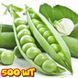Преладо семена гороха Syngenta Голландия 100 грамм(~500 шт) 1735189307 фото 1
