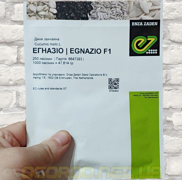 Егназіо F1 10 шт насіння дині Enza Zaden Голландія 2406214462 фото