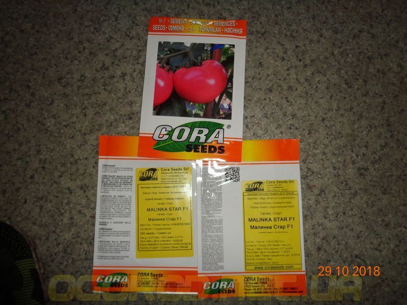 Малинка Стар F1 10 шт семена томата высокорослого розового Cora seeds Италия 827243893 фото
