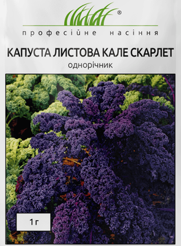Скарлет 1 г насіння капусти кале W.Legutko Польща kale-sc-leg  фото