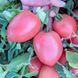 Пинк Крос F1 семена томата Libra Seeds, Италия 250 шт pi-kr-ls-250 фото 1