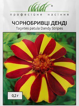 Бархатцы Денди 0,2 г семена Hem Zaden, Голландия bar001 фото
