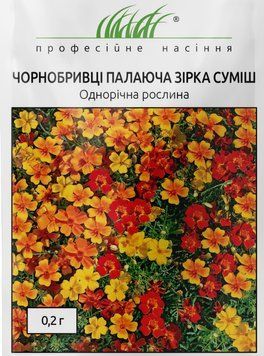 Семена бархатцев Горящая Звезда Hem Zaden Голландия 0,2 грамма copy_1476212429 фото