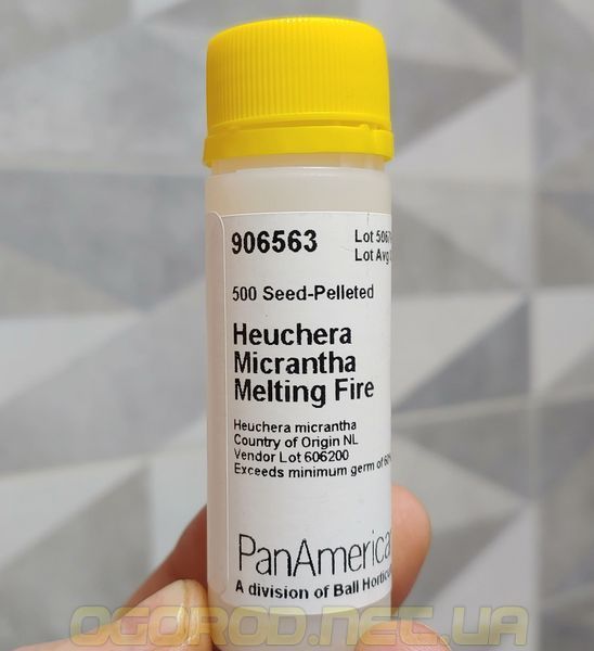 Гейхера Melting Fire 10 шт насіння PanAmerican Seed, США ge-mf-10 фото