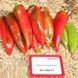 Шинако F1 (KS 2458) 10 шт семена сладкого перца Kitano Seeds 1007180180 фото 1