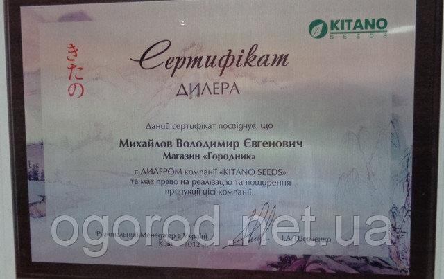 китано