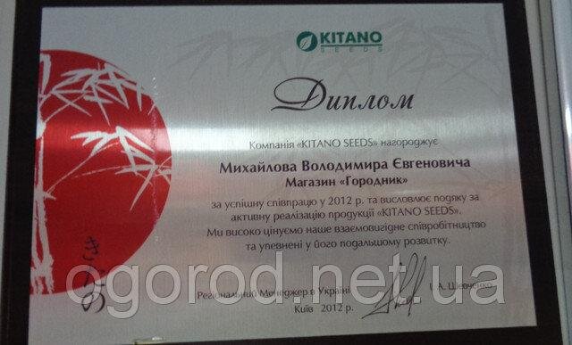 китано китано